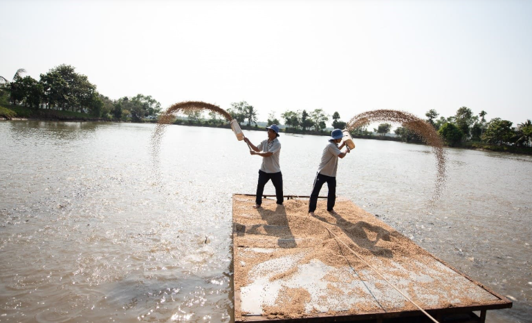 Không phải nông nghiệp, mảng này đã giúp The Pan Group báo lãi nghìn tỷ năm 2024