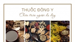 Điều trị bệnh trào ngược dạ dày thực quản từ Đông Y