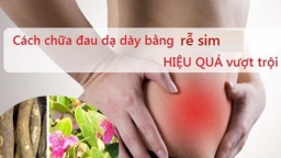 Phương pháp trị bệnh đau dạ dày bằng dược liệu đông y “rễ sim”