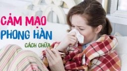 Bài thuốc đông y trị cảm mạo phong hàn