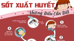 Tìm hiểu các triệu chứng và cách phòng tránh bệnh sốt xuất huyết