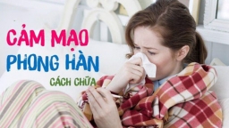 B.s Y học cổ truyền chia sẻ những bài thuốc trị cảm mạo phong hàn