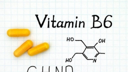 Cùng tìm hiểu những vai trò của Vitamin B6 đối với sức khỏe con người