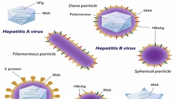 Những nguyên nhân nào gây nên bệnh viêm gan siêu vi cấp tính?