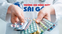 Bệnh nhân đầy hơi chướng bụng có thể dùng những loại thuốc nào?