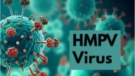 Sở Y tế TP.HCM: Virus HMPV gây bệnh viêm phổi ở Trung Quốc không phải virus mới