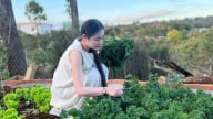 Tự mua đất, dựng nhà gỗ, làm vườn: Cô gái Đắk Lắk sáng tạo những video hút triệu view