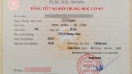 Đề xuất bỏ bằng tốt nghiệp THCS, hiệu trưởng được cấp bằng tốt nghiệp THPT