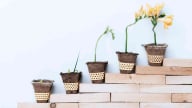 7 cách để thay đổi tư duy khan hiếm