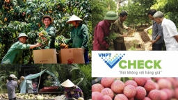 VNPT được vinh danh tại giải thưởng kinh doanh  Châu Á- Thái Bình Dương 2019