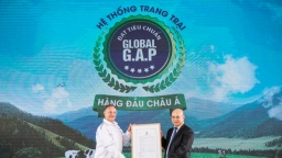 Người tiêu dùng hưởng lợi từ những 'resort' bò sữa chuẩn Global G.A.P của Vinamilk