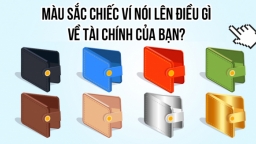 Trắc nghiệm: Màu sắc chiếc ví nói lên điều gì về tài chính của bạn?