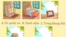 Trắc nghiệm tâm lý: Nhận được thư tình mờ ám, bạn sẽ giấu ở đâu khi người yêu đến nhà?