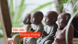 Sắc sắc không không có nghĩa là gì?