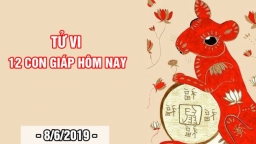 Tử vi 12 con giáp hôm nay 8/6: Tuổi Tý sự nghiệp thăng tiến