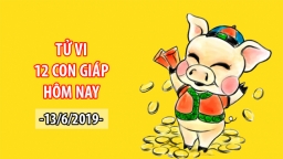 Tử vi 12 con giáp hôm nay 13/6: Tuổi Hợi công việc hanh thông nhưng tiểu nhân quấy phá