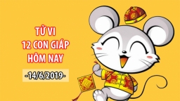 Tử vi 12 con giáp hôm nay 14/6: Tuổi Tý dễ bị lợi dụng, tuổi Dậu được quý nhân phù trợ