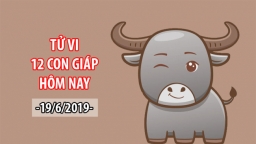 Tử vi 12 con giáp hôm nay 19/6: Tuổi Sửu đề phòng họa tiểu nhân