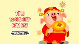 Tử vi 12 con giáp hôm nay 20/6: Tuổi Hợi tiền vào như nước