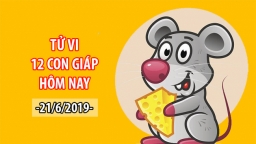 Tử vi 12 con giáp hôm nay 21/6: Tuổi Tý được quý nhân giúp đỡ, tuổi Tuất gặp thị phi