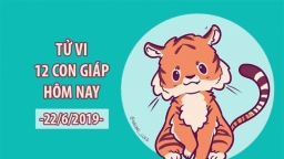 Tử vi 12 con giáp hôm nay 22/6: Tuổi Dần may mắn, tuổi Mão gánh tiếng xấu