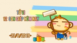 Tử vi 12 con giáp hôm nay 23/6: Tuổi Thân bị lợi dụng bởi người mình tin tưởng