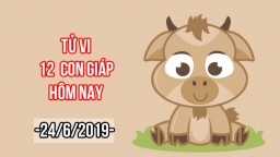 Tử vi 12 con giáp hôm nay 24/6: Tuổi Mùi có cát tinh che chở