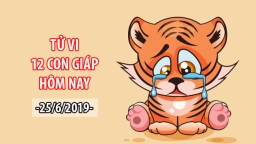 Tử vi 12 con giáp hôm nay 25/6: Tuổi Dần hung vận lớn