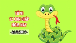 Tử vi 12 con giáp hôm nay 26/6: Tuổi Tỵ gặt hái thành quả nhờ kiên trì phấn đấu