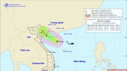 Dự báo thời tiết hôm nay 3/7: Tin bão khẩn cấp, cơn bão số 2