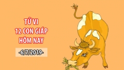 Tử vi 12 con giáp hôm nay 6/7: Tuổi Sửu tiền bạc rủng rỉnh nhưng điềm báo họa tiểu nhân