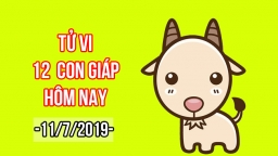 Tử vi 12 con giáp hôm nay 11/7: Tuổi Mùi có điềm báo họa phá tài