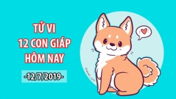 Tử vi 12 con giáp hôm nay 12/7: Tuổi Tuất gặp điềm xui xẻo, có thể bị bạn bè phản bội