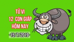 Tử vi 12 con giáp hôm nay 15/7: Tuổi Sửu bị tiểu nhân hãm hại, gặp họa thị phi