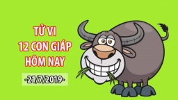 Tử vi 12 con giáp hôm nay 21/7: Tuổi Sửu gặp họa tiểu nhân, bị bạn bè hãm hại