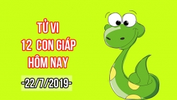 Tử vi 12 con giáp hôm nay 22/7: Tuổi Tỵ bị tiểu nhân ganh ghét hãm hại