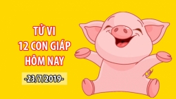 Tử vi 12 con giáp hôm nay 23/7: Tuổi Hợi bị bạn bè tổn thương