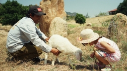 Về miền sa thảo, 'trái tim' của thiên đường du lịch Ninh Thuận