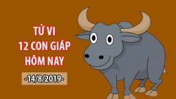 Tử vi 12 con giáp ngày 14/8: Sửu Mùi tương xung, tuổi Sửu gặp xui xẻo