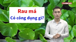 Cơ thể sẽ ra sao nếu thường xuyên sử dụng rau má?