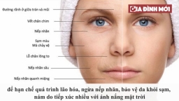 Thực phẩm gia đình giàu collagen giúp chị em phụ nữ giữ mãi tuổi xuân