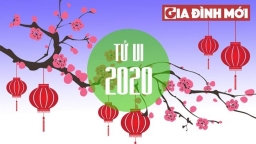 Tử vi 2020: 4 con giáp phúc lộc ‘giành’ hết phần người khác