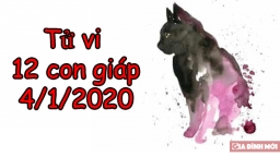 Tử vi 12 con giáp hôm nay 4/1/2020: Tuổi Mão vượng phát, tuổi Hợi phòng chuyện rắc rối