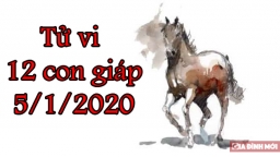 Tử vi 12 con giáp hôm nay 5/1/2020: Tuổi Thân cẩn thận va chạm, tuổi Ngọ nhiều may mắn