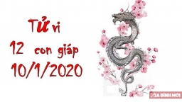 Tử vi 12 con giáp hôm nay 10/1/2020: Tuổi Thìn may mắn, tuổi Ngọ gặp nhiều trục trặc