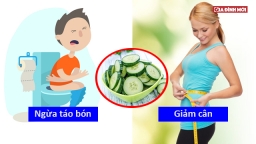 12 tác dụng tuyệt vời của dưa chuột, bạn nên ăn mỗi ngày