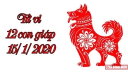 Tử vi 12 con giáp hôm nay 15/1/2020: Tuổi Tỵ gặp ngày rất xấu, tuổi Thân sự nghiệp tốt