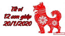 Tử vi 12 con giáp hôm nay 20/1/2020: Tuổi Mão gặp quý nhân, tuổi Tuất gặp bất lợi