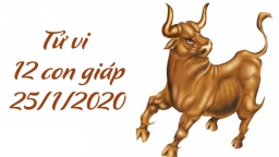 Tử vi 12 con giáp hôm nay 25/1/2020: Tuổi Sửu an lành đầu năm, tuổi Thìn tài lộc nở rộ