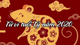 Tử vi tuổi Tý năm 2020